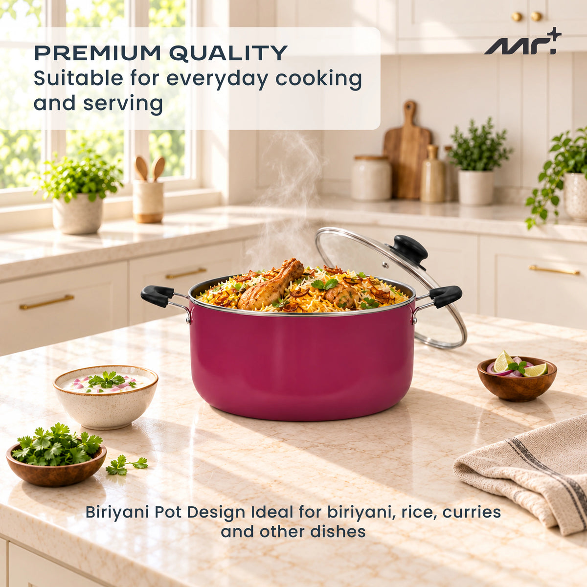 MR PLUS BIRIYANI POT 8 LTR GLASS LID